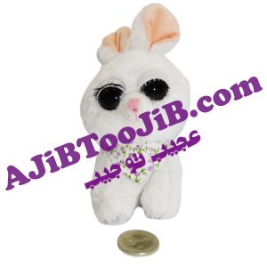 خرگوش های چشم جذاب