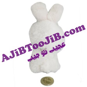 خرگوش های چشم جذاب