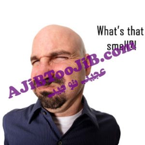 بمب بدبو