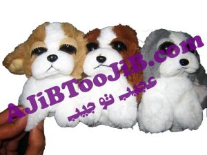 سگ های چشم جذاب