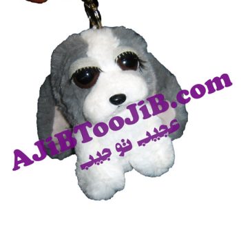 سگ های چشم جذاب
