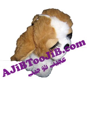 سگ های چشم جذاب