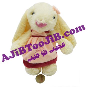 خرگوش های دختر و پسرجلی کت