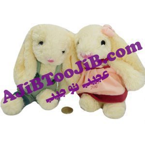 خرگوش های دختر و پسرجلی کت