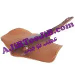 حیوانات بزرگ شونده