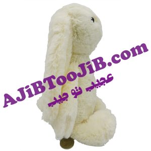 Jelly coat rabbit doll without clothes