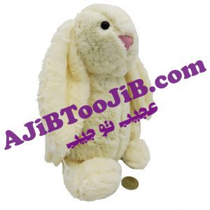 خرگوش جلی کت بامزه