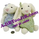 خرگوش جلی کت دختر لباس گلی کوچک