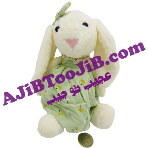 خرگوش جلی کت دختر لباس گلی کوچک
