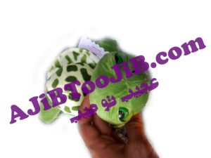 Doll Tired turtle small