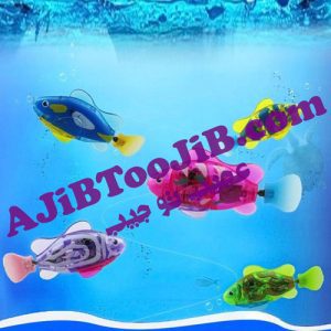 Smart Robotic Fish
