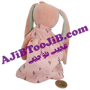 خرگوش ژله ای گوش بلند