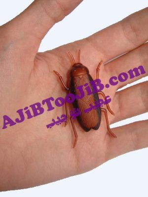 سوسک رباتیک