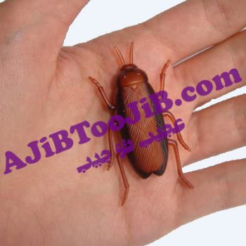 سوسک رباتیک