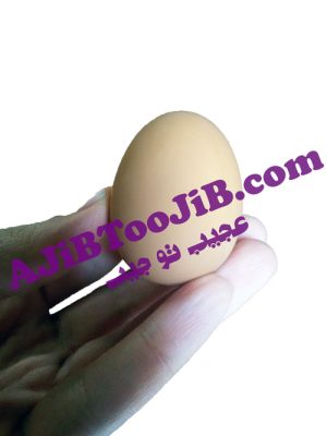 تخم مرغ شوخی نشکن