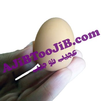 تخم مرغ شوخی نشکن