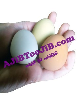 تخم مرغ شوخی نشکن