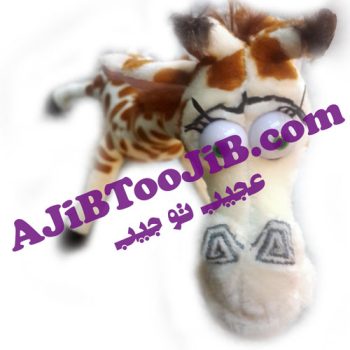 زرافه ماداگاسکار