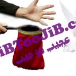 کیسه ظاهر شدن کبوتر (سطح حرفه ای)