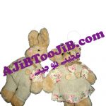 جاسوئیچی خرس و خرگوش دختر پسر ( Teddy )