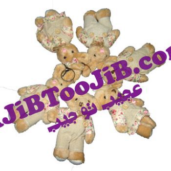 جاسوئیچی خرس و خرگوش دختر پسر ( Teddy )