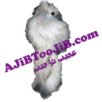 جاسوئیچی سمور های پشمالو
