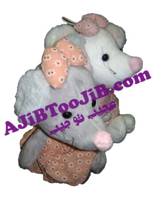 موش های دختر پاپیون به سر