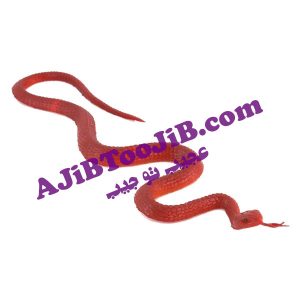 Jelly animals disgusting