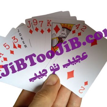 شعبده پاسورهای سخنگو