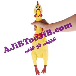مرغ جیغ کش