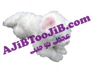 Musical White Cat Cats