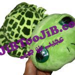 لاک پشت بی نوا (سایز بزرگ)