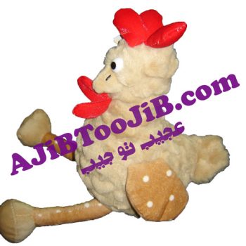 خروس بامزه رسمی