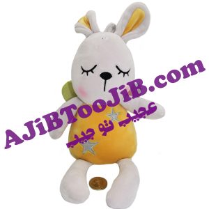 خرگوش های فانتزی بالدار