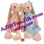 خرگوش ژله ای گوش بلند