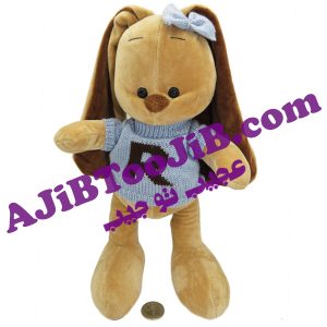 خرگوش های جنتلمن دختر و پسر