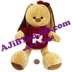 خرگوش های جنتلمن دختر و پسر