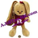 خرگوش های جنتلمن دختر و پسر