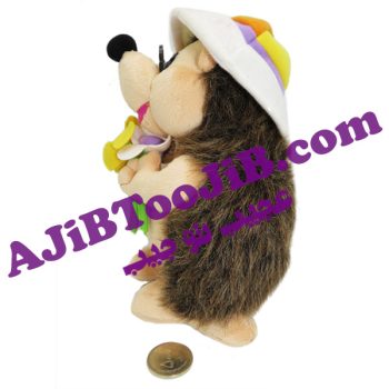 جوجه تیغی بامزه مهربان