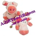 خوک های پشمالوی با نمک