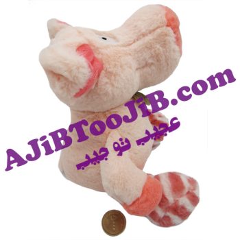 خوک های پشمالوی با نمک