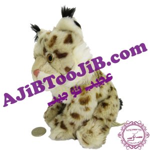 گربه ملوس خالخالی