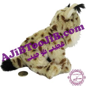 گربه ملوس خالخالی