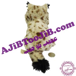 گربه ملوس خالخالی