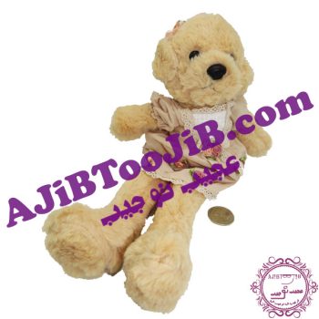 سگ جلی کت دامن گلی ناز