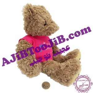 Charming winter furry bear