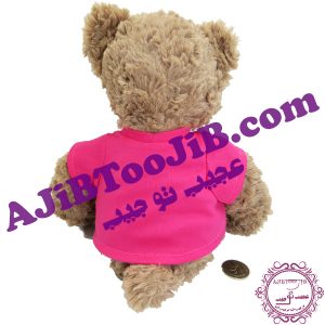 خرس پشمالوی زمستانی جذاب