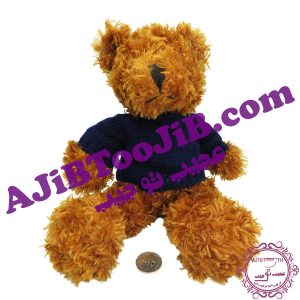 Charming winter furry bear