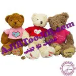 Charming winter furry bear