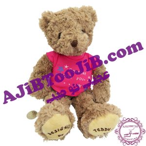 خرس پشمالوی زمستانی جذاب